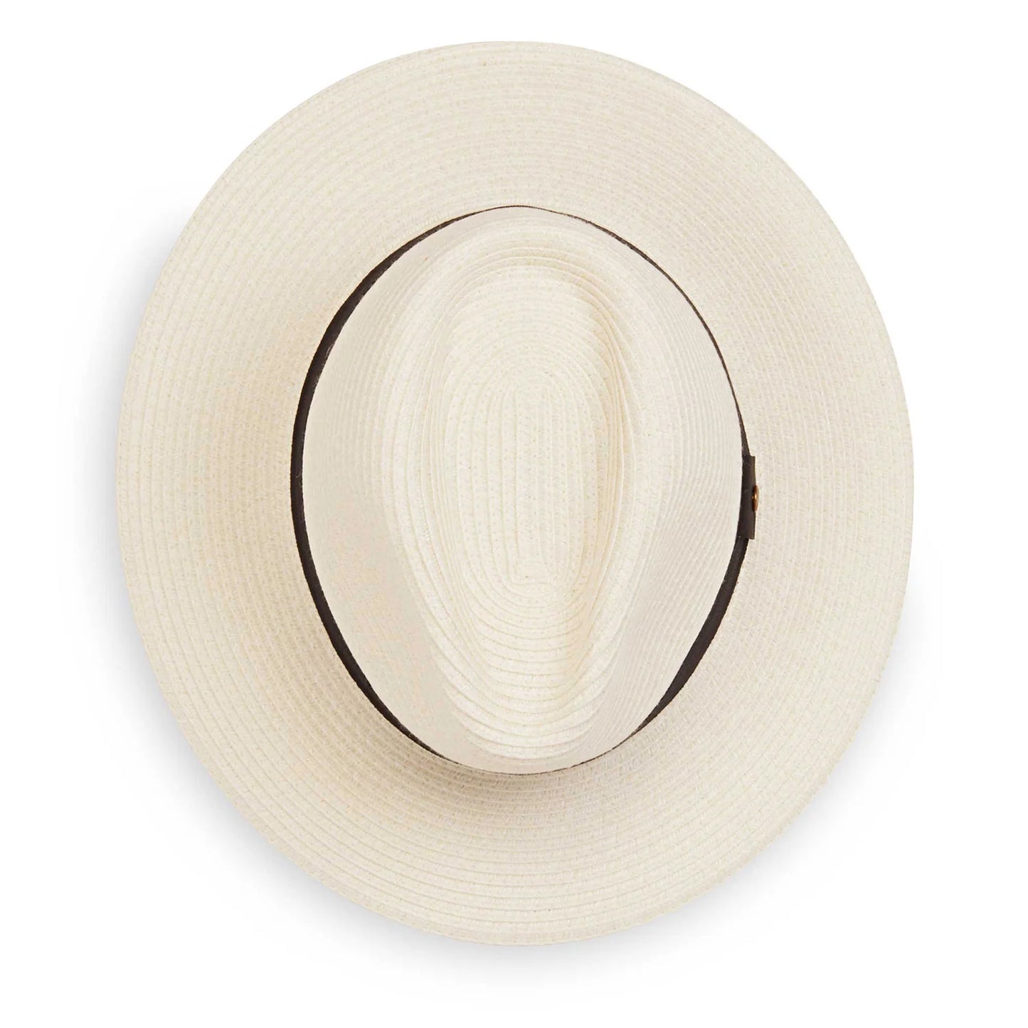 Petite Palm Beach - Ivory